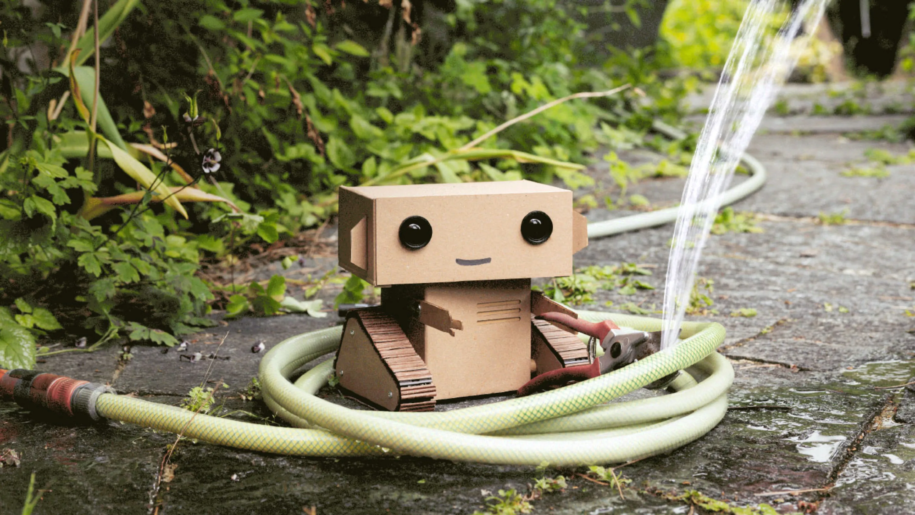 La photo de couverture du rapport de gestion