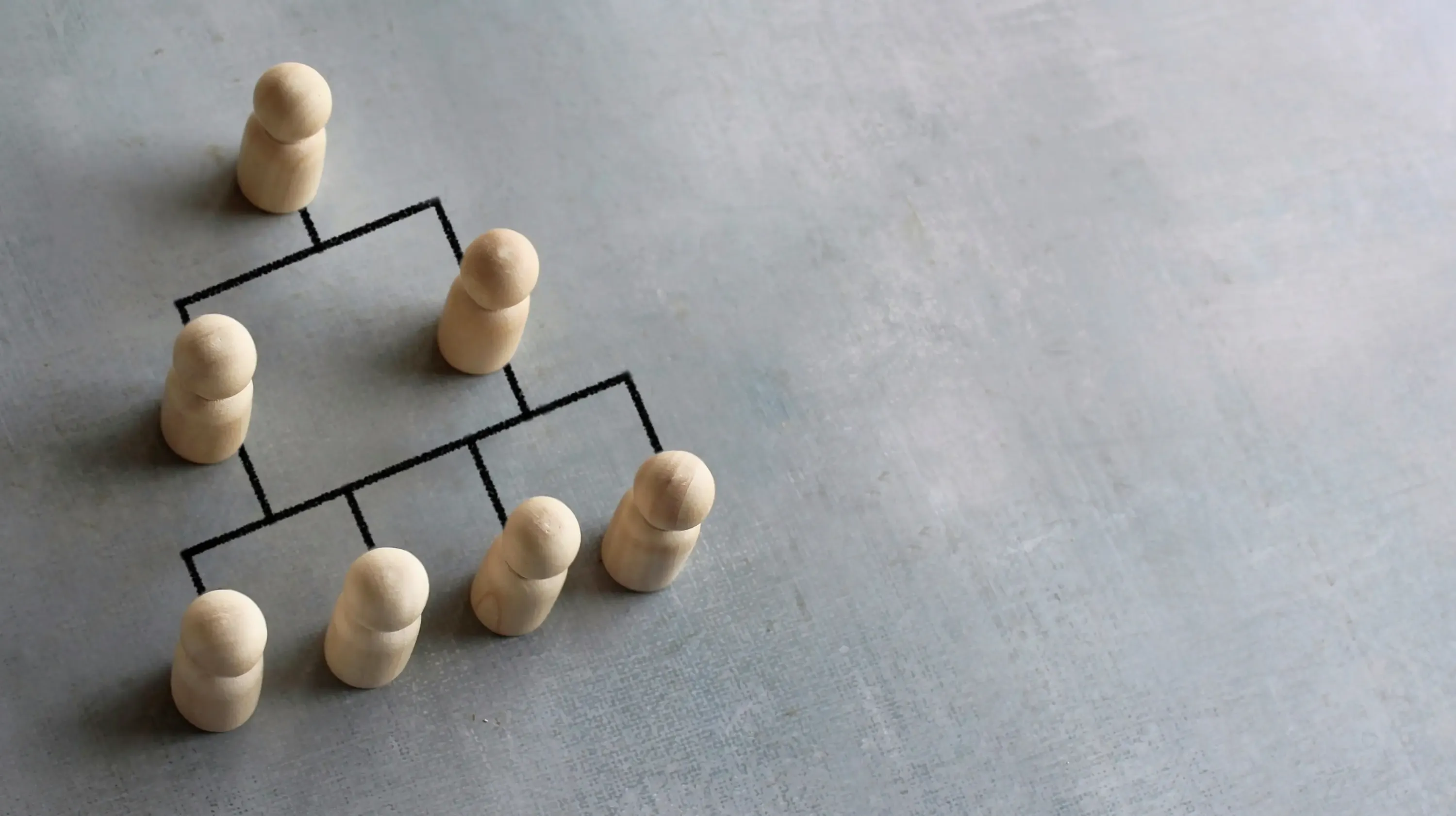 organisation-vignette