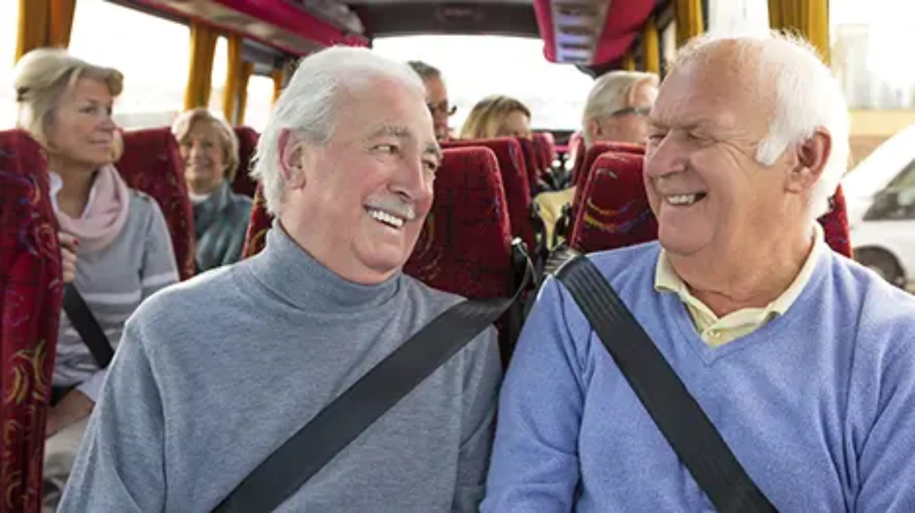 PetitesFugues vignette